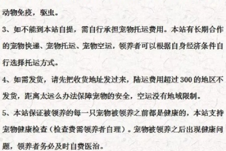 领养宠物需要什么条件？这些要求你都符合吗？