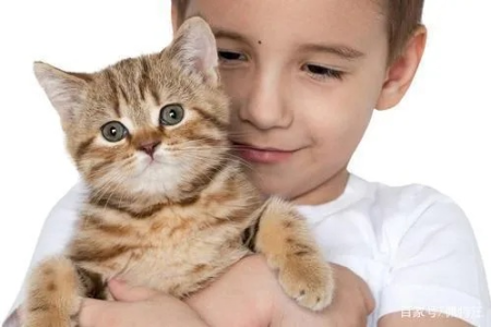 想养猫但孩子太小？孩子几岁才能养猫最合适？