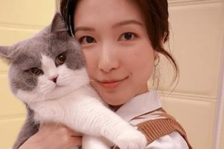 你家猫是你的“恋人”吗？看看这些甜蜜瞬间！