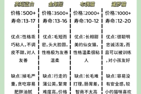 想买纯种布偶猫？告诉你一只多少钱，避免被坑！