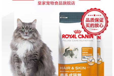 买猫粮猫咪不吃怎么办？教你如何让猫咪爱上新猫粮