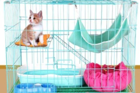猫砂盆和食盆要放多远？距离多少猫咪才舒服？