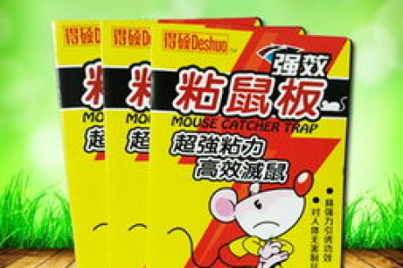 爱猫粘上粘鼠板，这些方法能帮你快速解决！