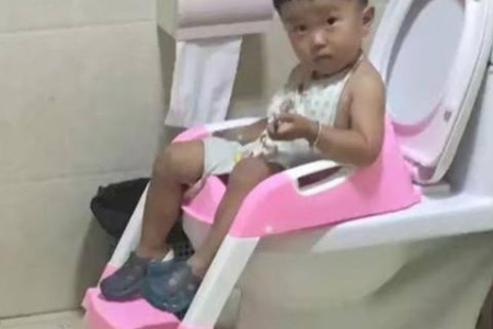 如何教育小猫不再乱拉屎？简单易学的猫咪如厕训练技巧