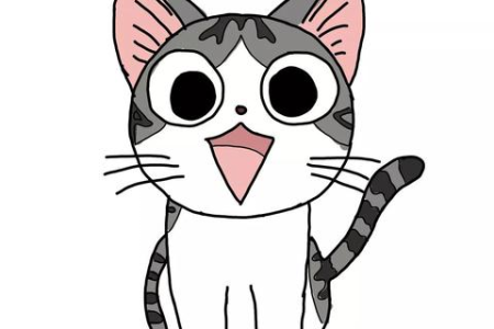 一个月小猫突然不吃东西了？可能是这些原因！