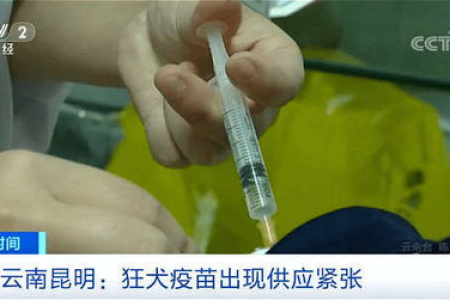 被猫抓破表皮一点点的处理方法，狂犬疫苗接种指南及注意事项