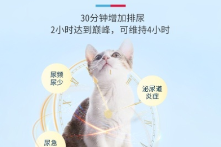治疗猫尿道炎：这些药有效，安全吗？