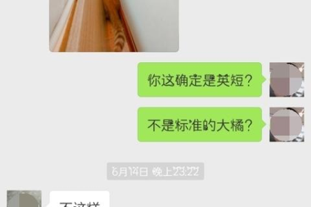 宠物店里橘猫一般多少钱一只？看完你就懂了