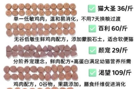 一个多月的猫咪吃什么？幼猫喂养指南，营养搭配全攻略
