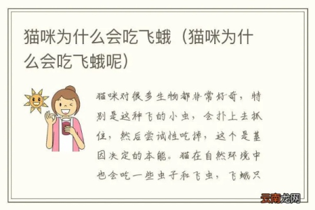 猫咪误食飞蛾怎么办？紧急处理方法及注意事项！