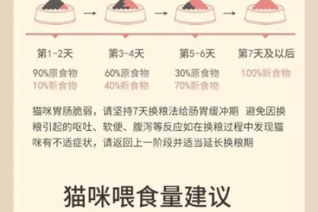 2～3月龄小猫一天吃多少猫粮合适？详细喂养攻略