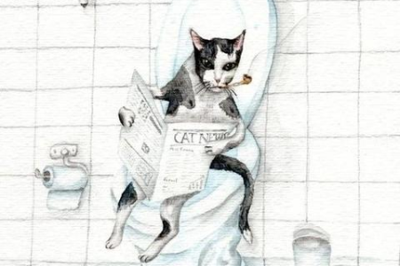 猫咪天生就会埋屎吗？揭秘猫咪掩埋排泄物的秘密