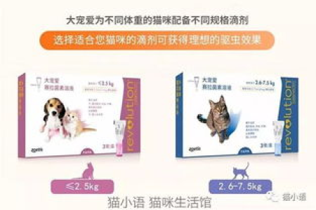 猫多久驱虫一次？体内外驱虫频率详解及注意事项