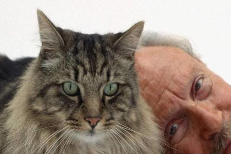 猫三个月相当于人多大？铲屎官必看猫咪年龄换算表
