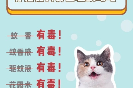 养猫家庭如何驱蚊？安全有效的驱蚊方法推荐