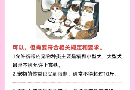 猫咪可以上高铁动车吗？高铁宠物托运新规详解