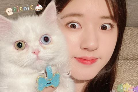 赵露思爱猫大揭秘：猫咪品种、性格全解析！
