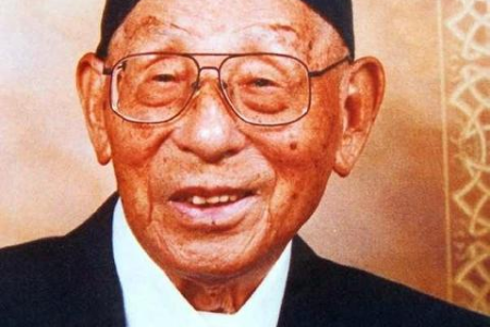 解读猫不养双：迷信还是现实？如何避免猫咪争斗
