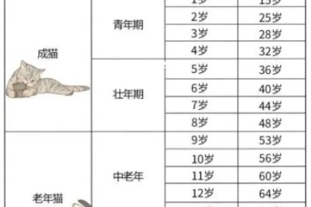 如何计算猫咪年龄？猫一年相当于人的几岁？