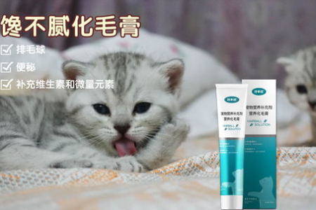 猫咪报复主人行为大揭秘：有哪些常见表现？