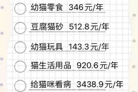 猫看病钱怎么准备？带猫看病必备物品清单及费用预算