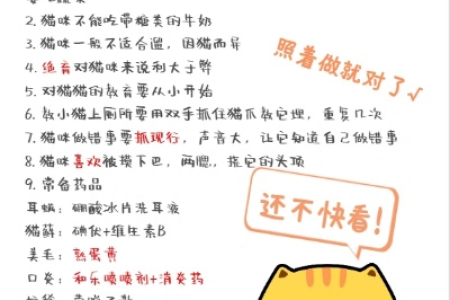 新手养猫必备指南：99%的猫主子都感谢我