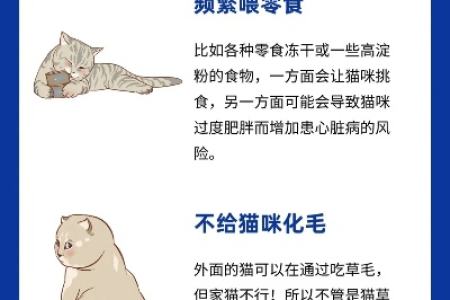 警惕！7个可能“慢性杀猫”的常见错误，你犯了吗？