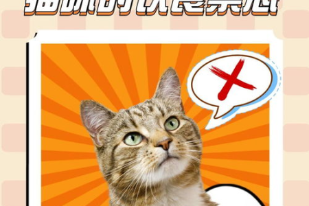 给猫咪的安全饮食指南：猫不能吃的东西清单
