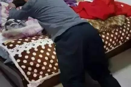 想养猫又怀孕了怎么办？怀孕养猫对胎儿有哪些影响