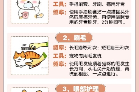 新手养猫完全攻略：从准备工作到猫咪日常护理