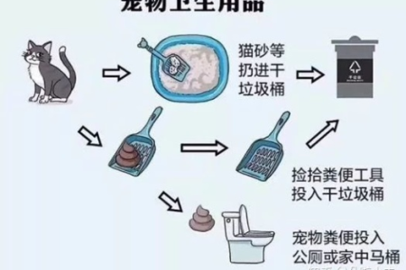 宠物粪便垃圾分类指南：到底属于哪一类垃圾？