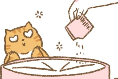 橘猫是什么品种？橘猫和其它猫咪品种的区别在哪里？