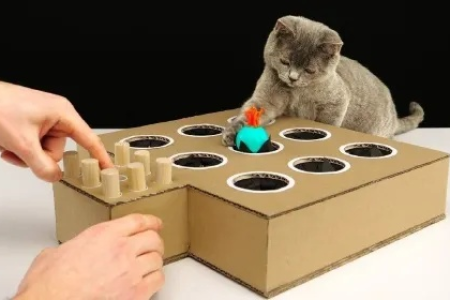 猫玩具该如何制作？教你几招自制猫咪玩具省钱又好玩