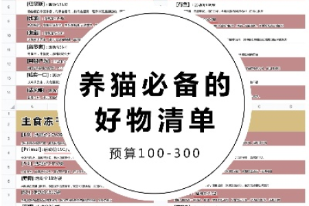 城市养猫需要准备哪些东西？超实用清单分享！