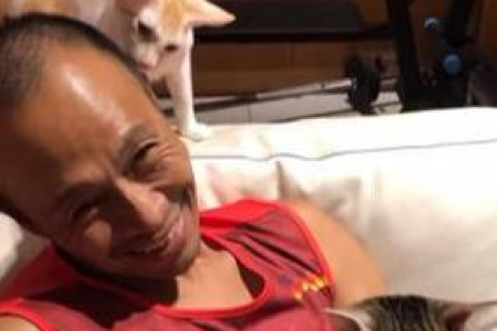 上班族养猫指南：这几种猫咪低维护，高颜值！