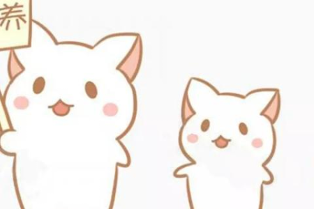 被猫亲近是福是祸？不同情况下的猫咪亲近预兆