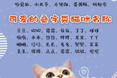 怎么给猫取名字？简单好记的猫咪名字大全