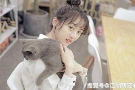 你有吸猫体质吗？看看你是否符合这些特征