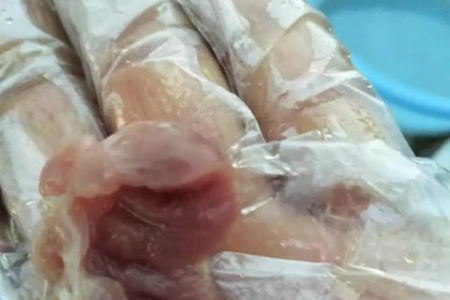 小猫出生几天拉稀？原因分析及应对方法详解