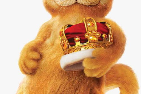 想养加菲猫？先了解它的性格和外貌特点吧！