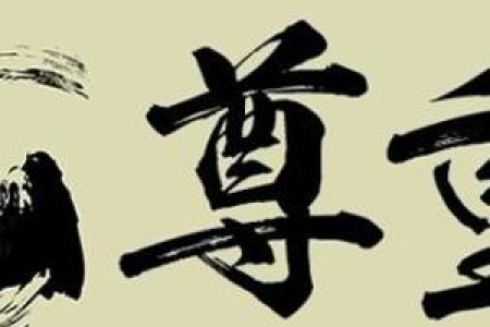 挪威森林猫性格到底如何？适合你家吗？