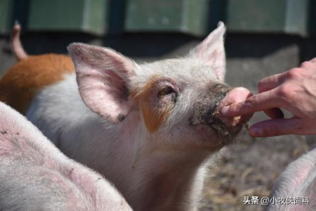 感冒浑身酸痛是怎么回事？呼吸内科告诉你原因及治疗