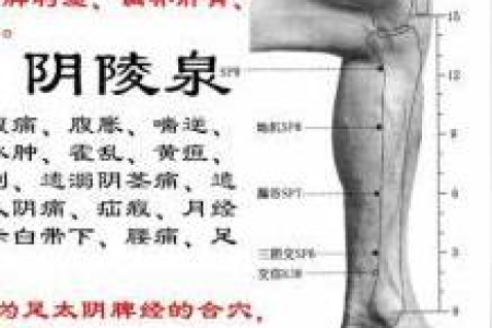 整形美容不如艾灸？这些穴位帮你轻松祛斑美颜