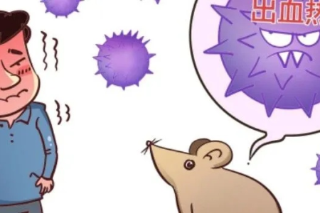急性出血热症状有哪些？传染科如何诊断治疗？