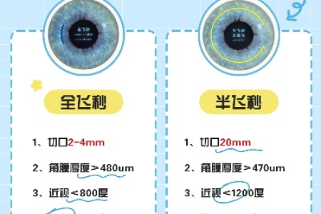全飞秒和半飞秒哪个好？价格差多少？