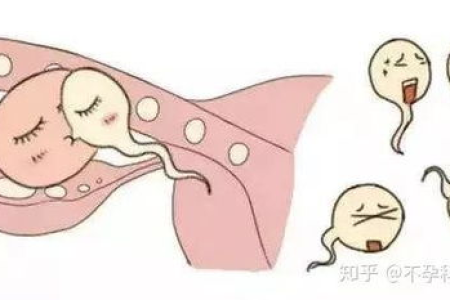 没有子宫的女人会怎么样？生育、月经及身体健康受影响吗？