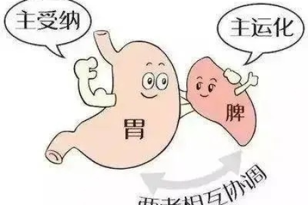 心血管内科脾胃虚弱症状详解：调理方法及食疗推荐