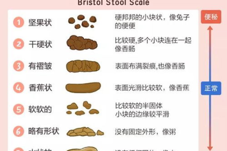 宝宝大便有粘液是消化不良还是肠炎？家长必看！