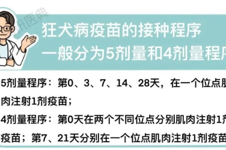 传染科医生解答：狂犬疫苗是不是越早打越好？最佳注射时间是多久？