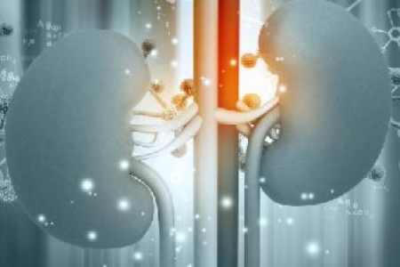 急慢性肾功能不全治疗方法，改善肾脏健康